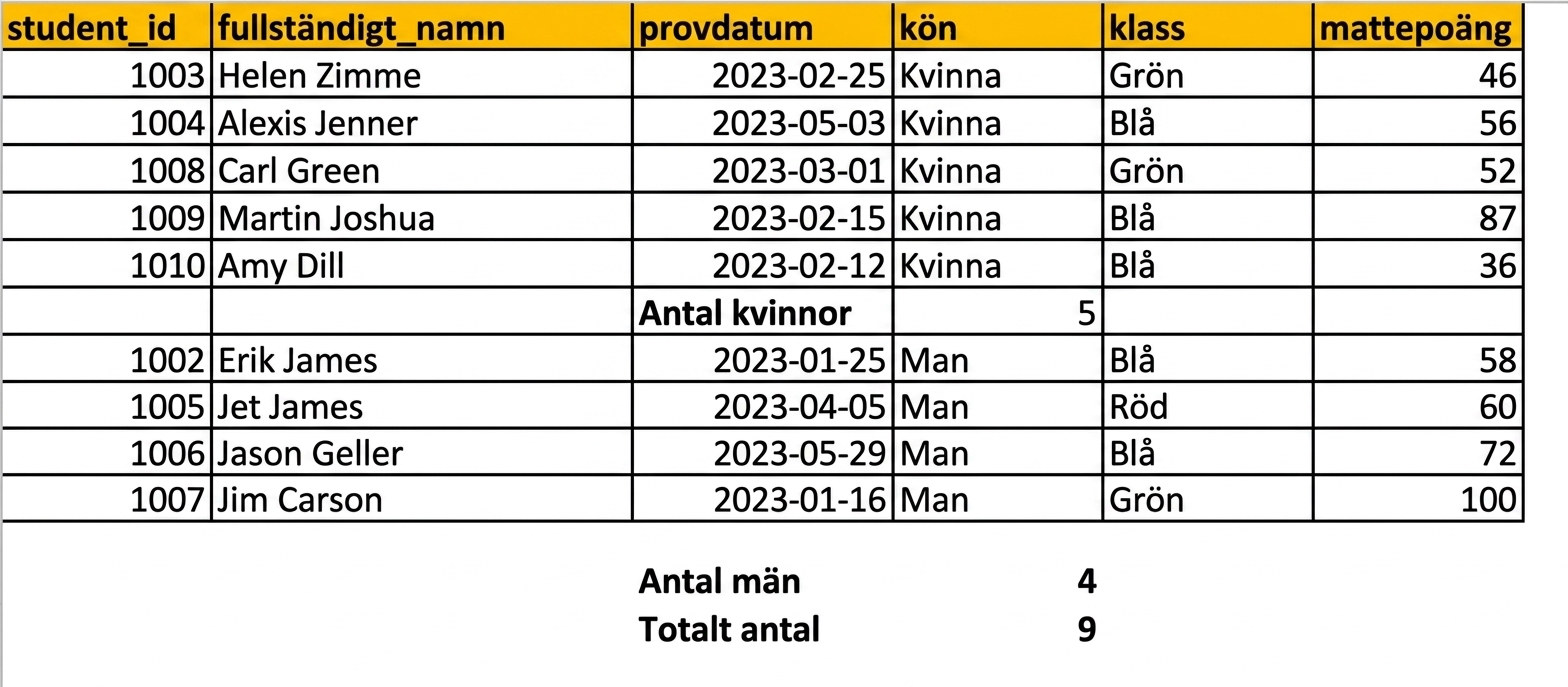 Tabell med elevers testresultat, med ett antal per kön tillagt med delsummafunktionen