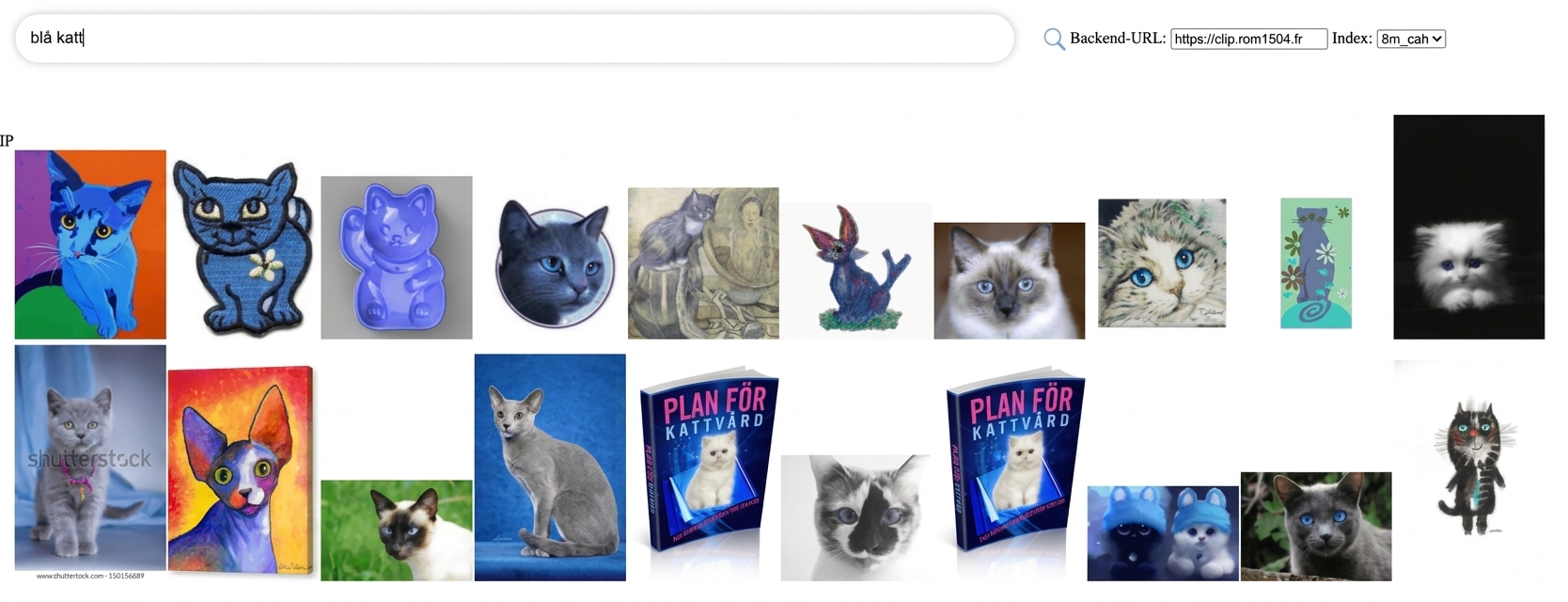En serie kattbilder från ett stort bilddataset.