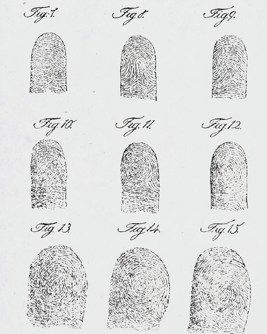 En serie fingeravtryck