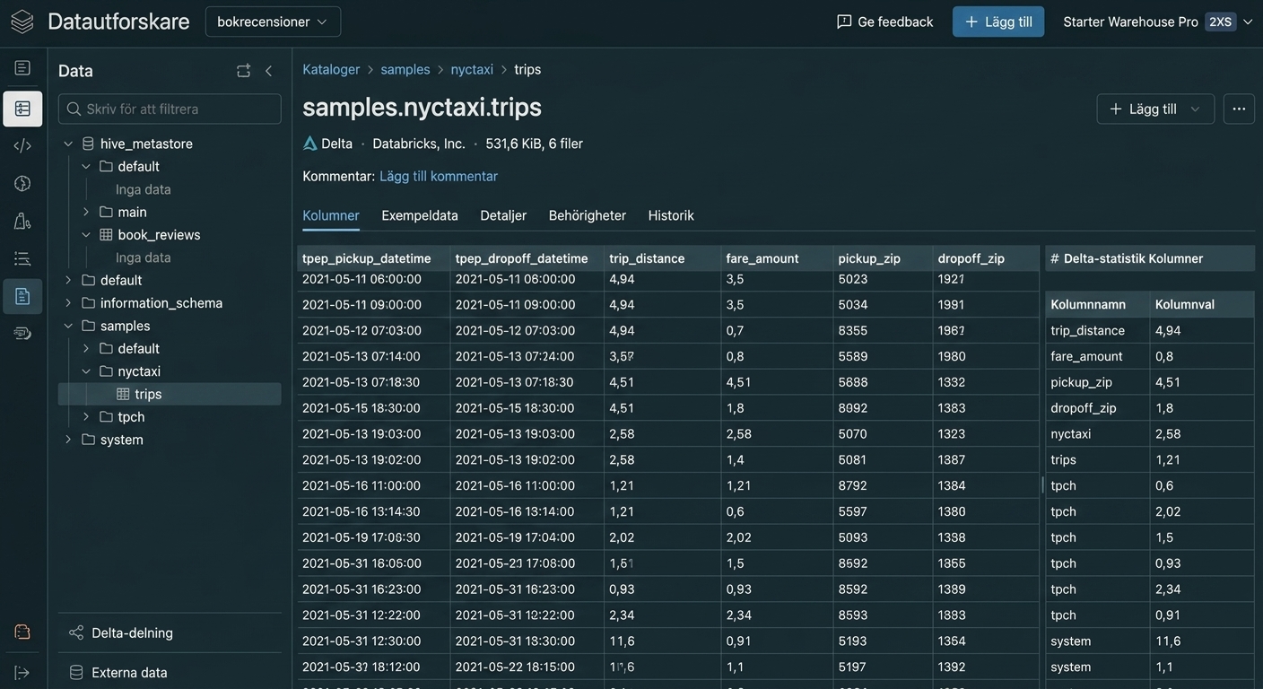 Data Explorer UI