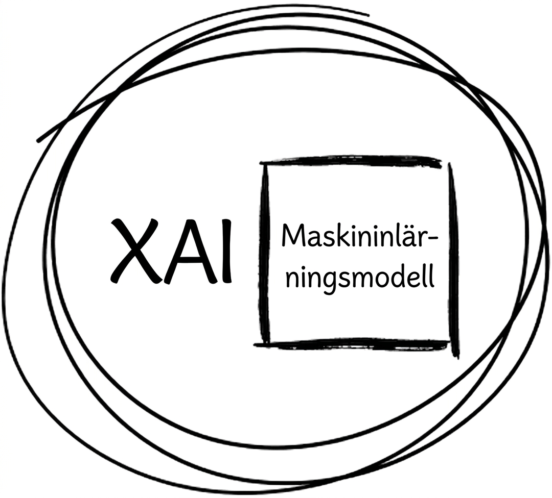 En illustration av hur XAI fungerar.