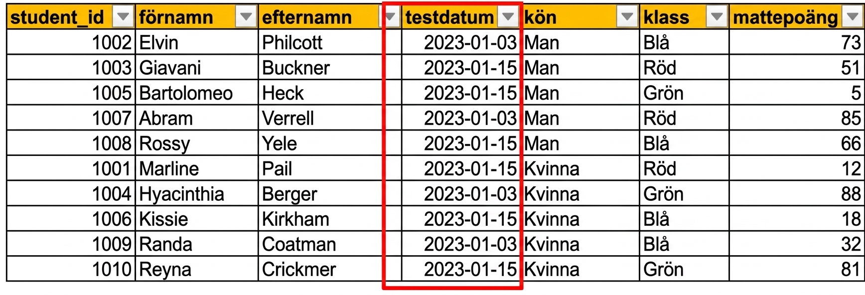 Exempel på en manuellt inmatad tabell med elevers testdata i Excel där datumkolumnen test_date är markerad