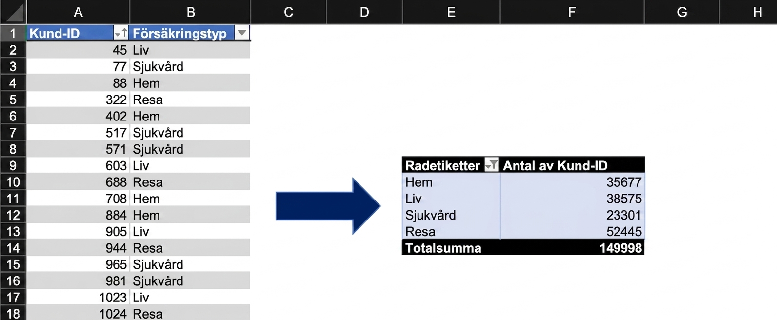 Försäkringsdata sammanfattad med en pivottabell