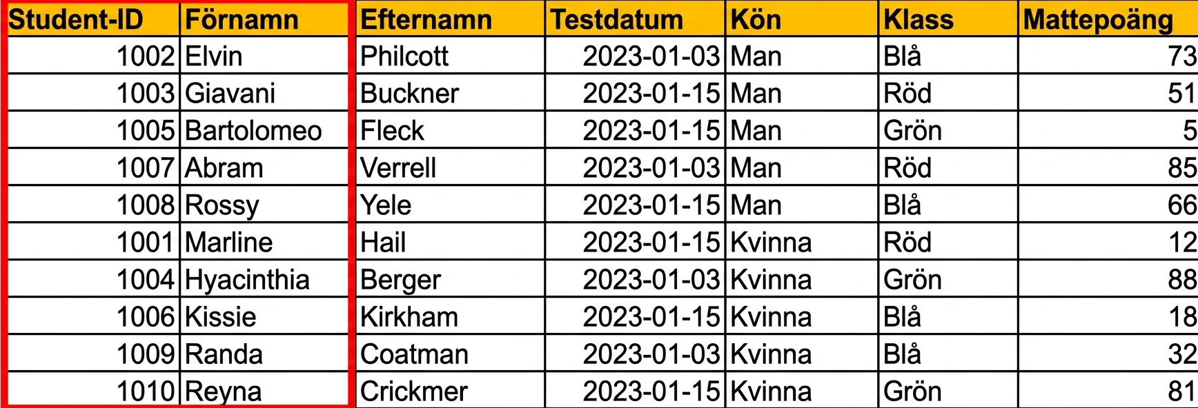 Exempel på en manuellt inmatad tabell med elevers testdata i Excel där textsträngkolumnen full_name är markerad