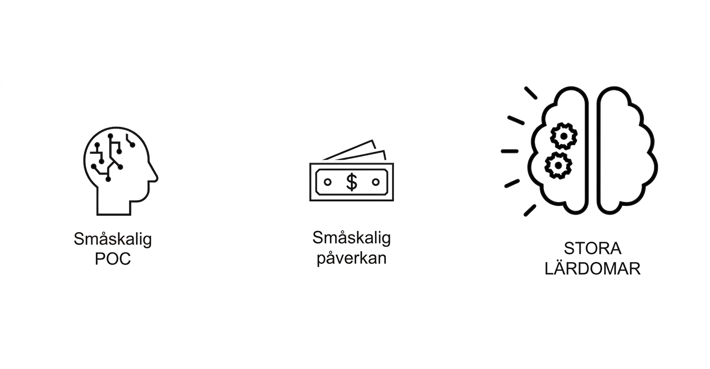 Stora lärdomar!