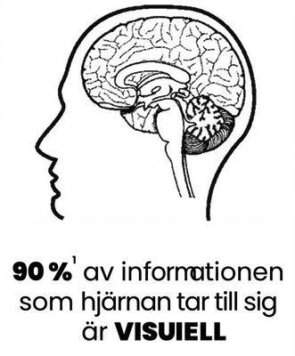 En bild av en mänsklig hjärna