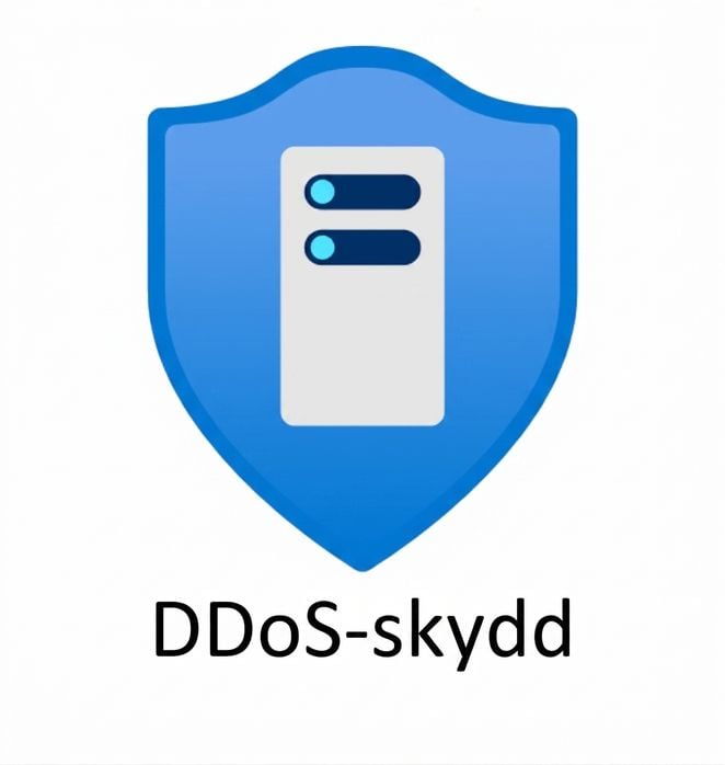 blå sköld med texten DDoS-skydd nedanför