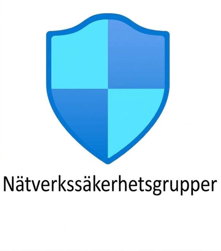 blå sköld med texten nätverkssäkerhetsgrupper nedanför