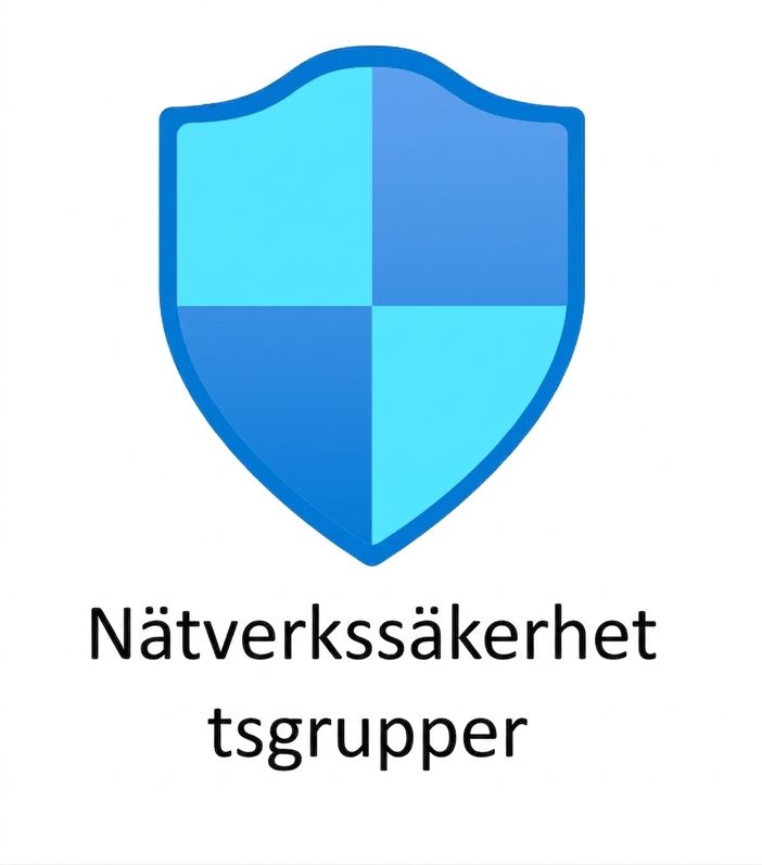 blå sköld med texten nätverkssäkerhetsgrupper nedanför