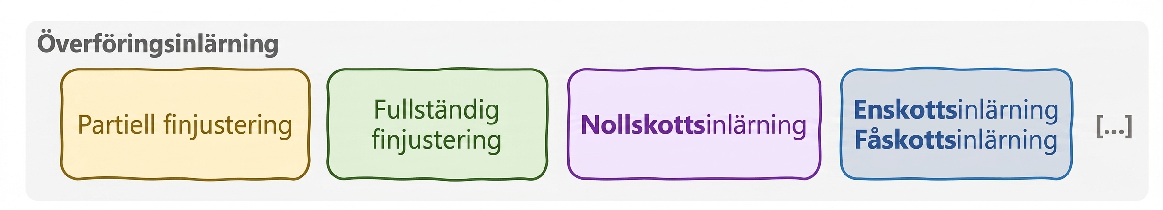 Transferinlärningens paradigm