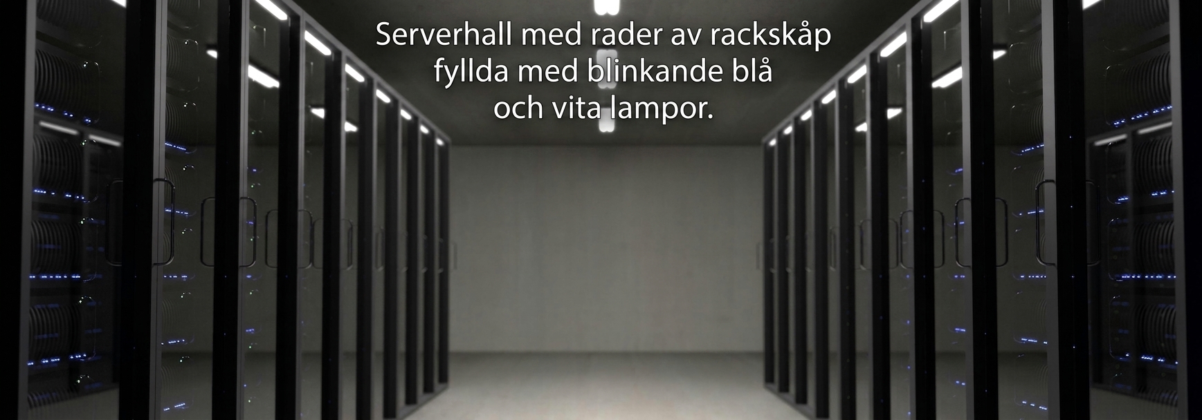 Foto av ett serverrum