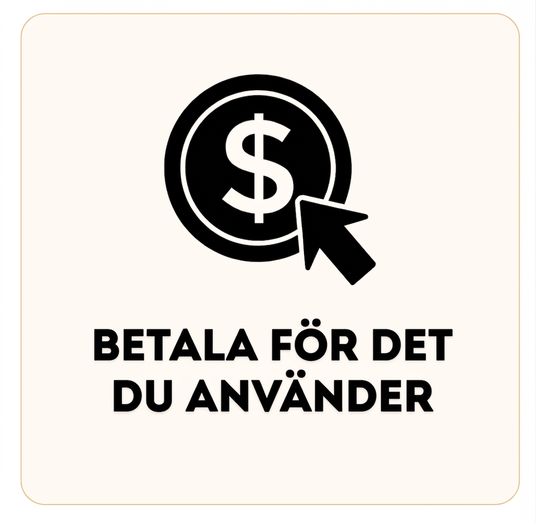 Bild av ett mynt