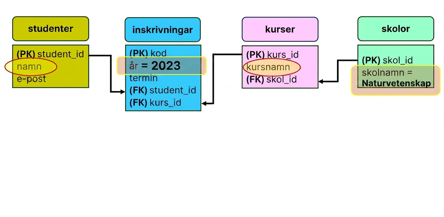 Fråga mot ER-modellen för studentnamn och kurser registrerade under 2023 vid Science-skolan