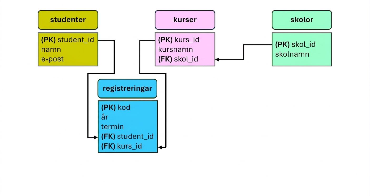 Färdig ER-modell för collegetema