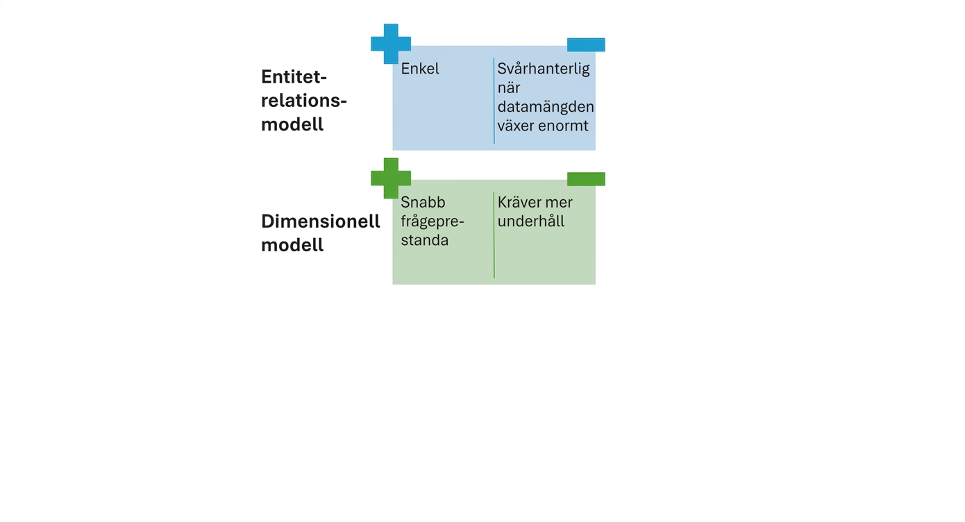 För- och nackdelar med den dimensionella modellen