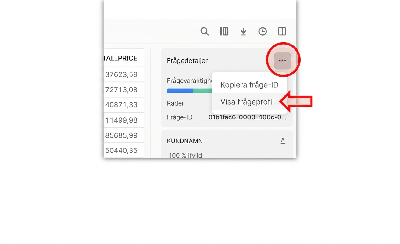 Instruktion för att hitta frågeprofilen