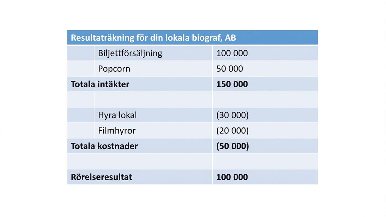 exempel på en resultaträkning