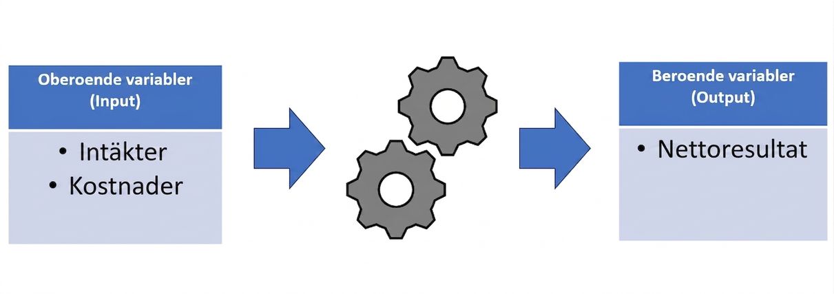 ett diagram över en modell där indata går genom modellen och ger ett resultat