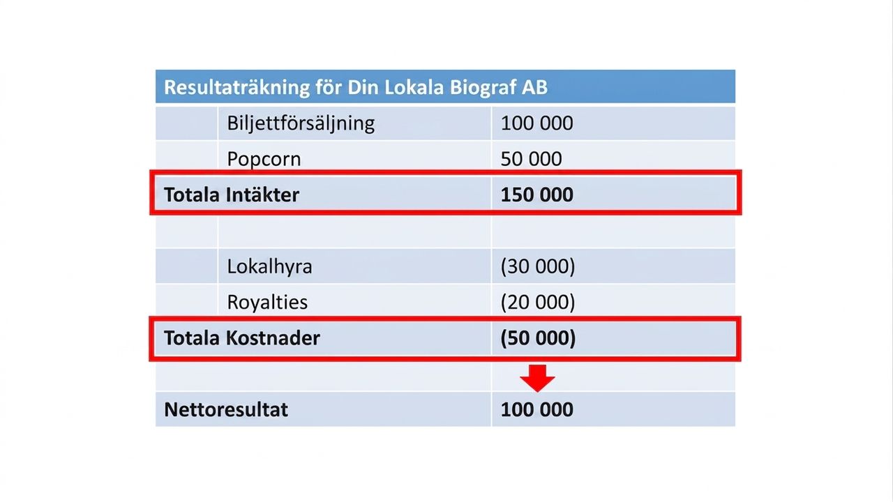 resultaträkning som visar beräkningen av nettoresultatet