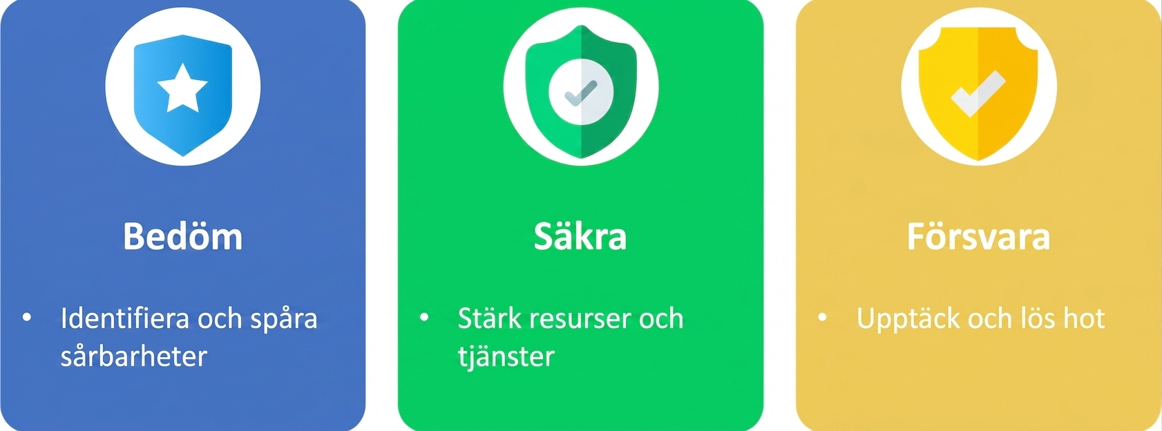 Utvärdera, skydda och försvara