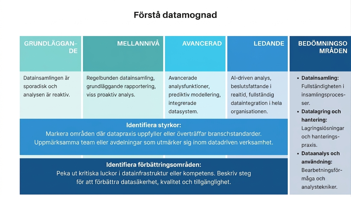 Samling av rutor