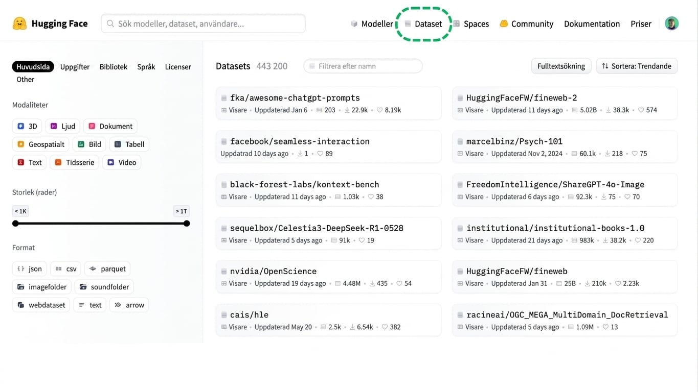 hf_datasets1.jpg