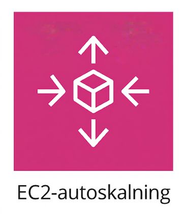 En ikon som visar EC2 Auto Scaling.