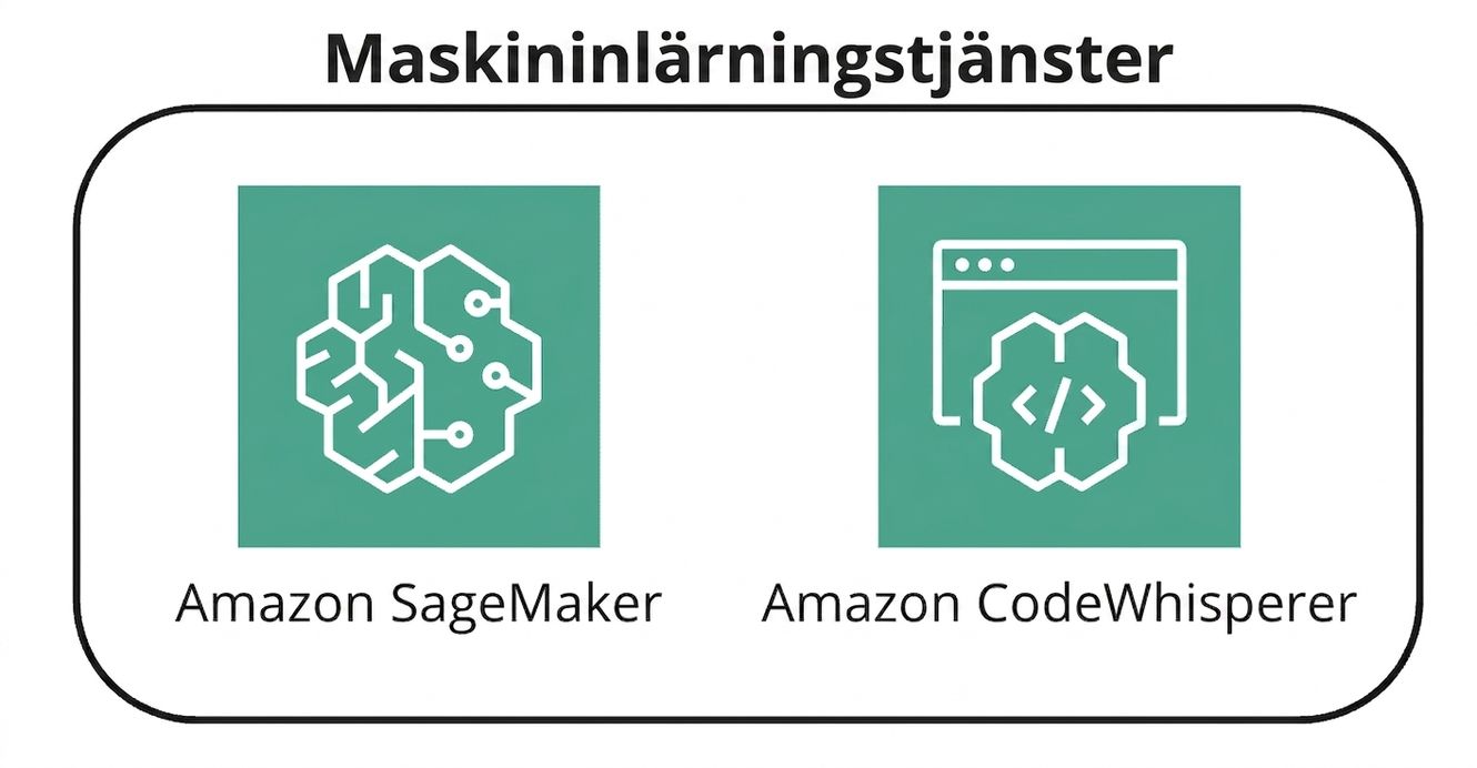 Två ikoner som representerar AWS ML-tjänster.