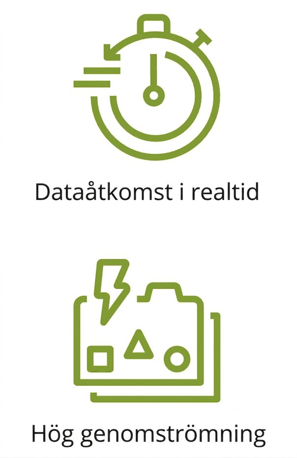 Två ikoner som visar realtidsdataåtkomst och högt dataflöde.