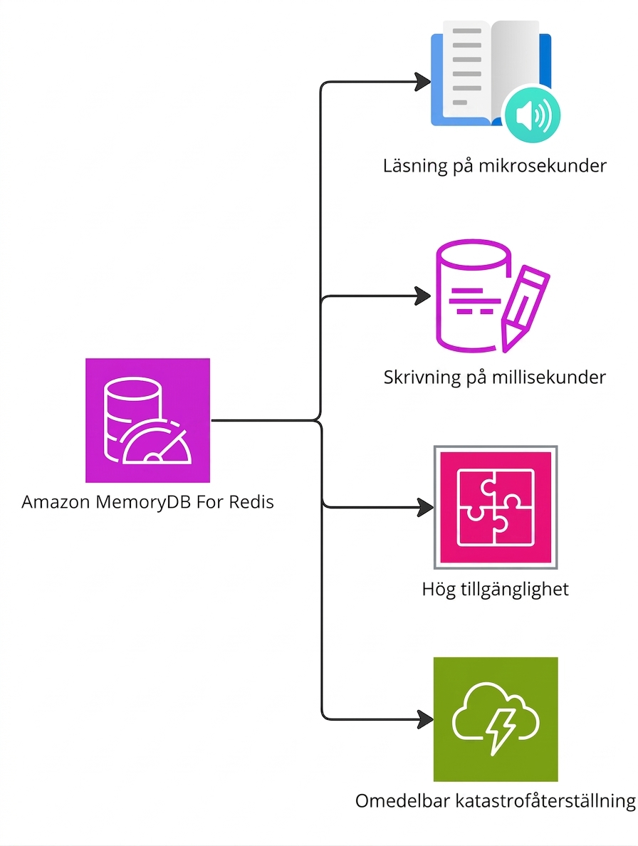 Ett förgrenat diagram som lyfter fram funktionerna hos MemoryDB for Redis.