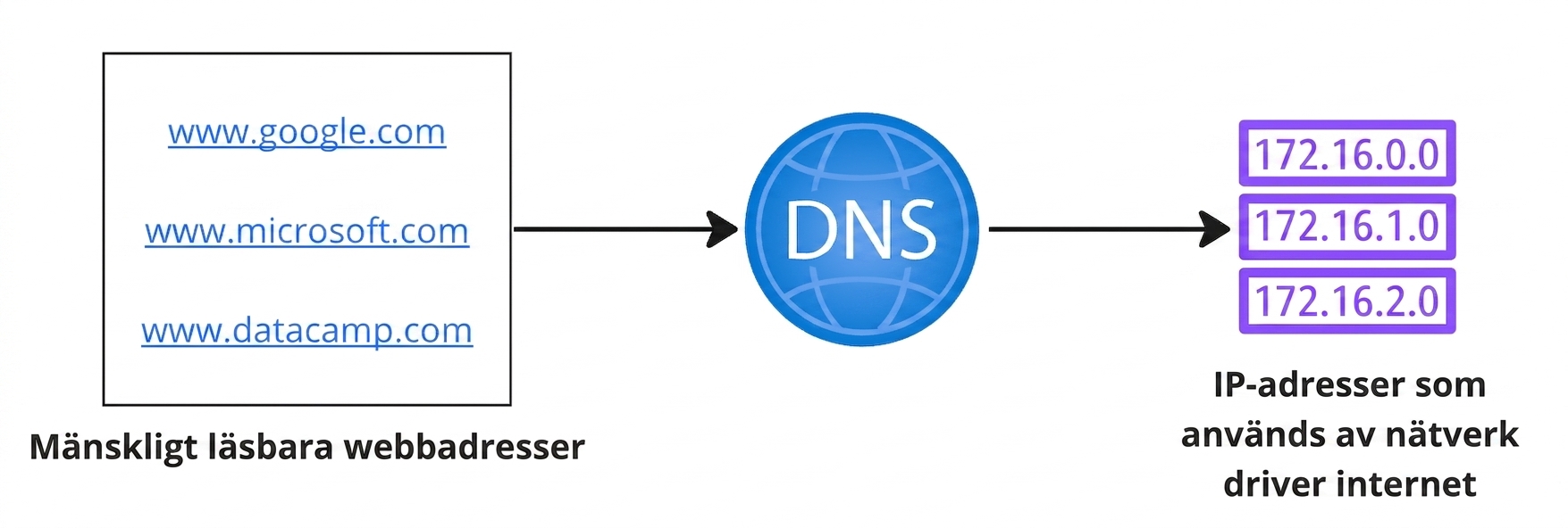 Ett flödesdiagram som visar omvandlingen från läsbara webbadresser till IP-adresser.