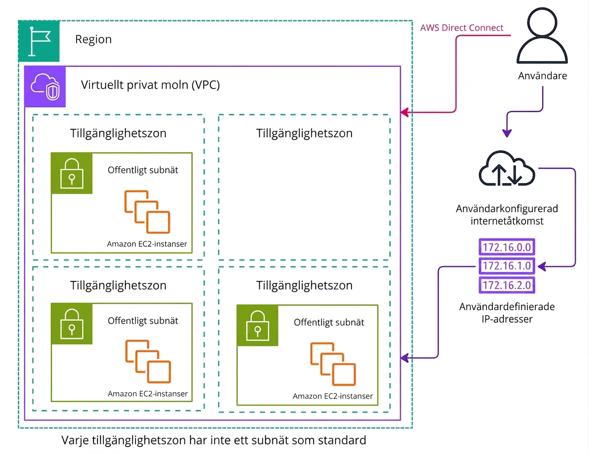 Ett arkitekturdiagram som förklarar anpassad VPC i AWS.