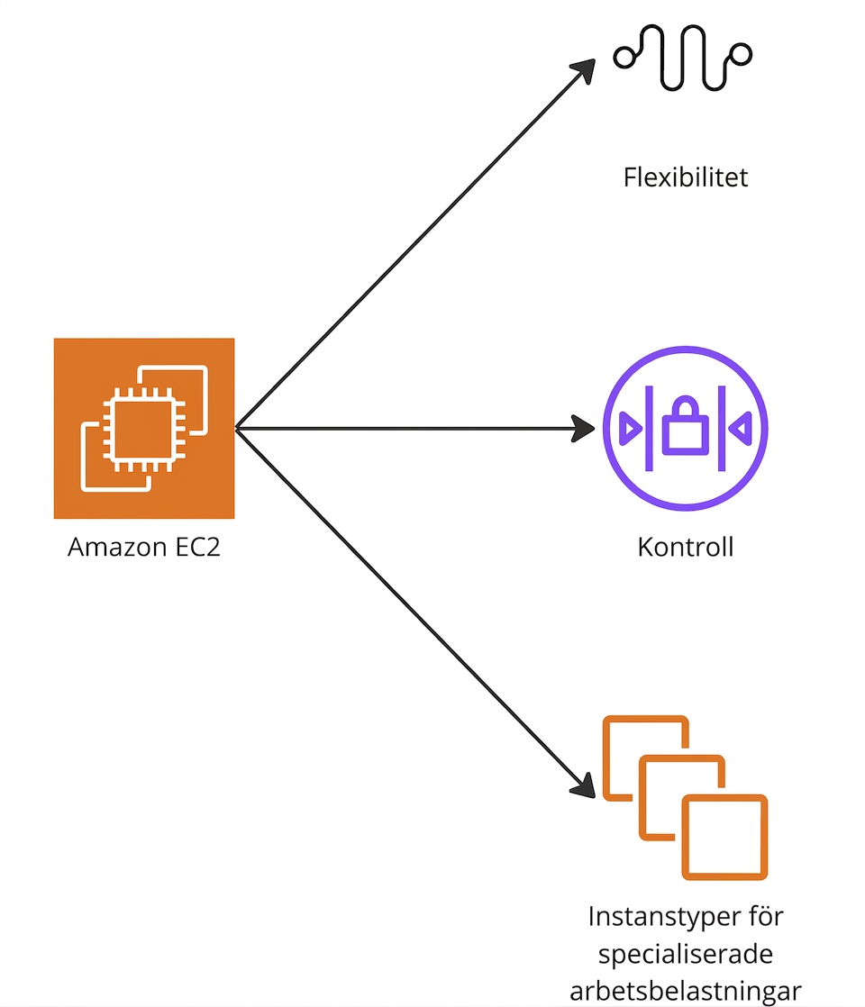 Ett förgrenat diagram som lyfter fram flexibilitet, kontroll och specialinstanstyper i EC2.