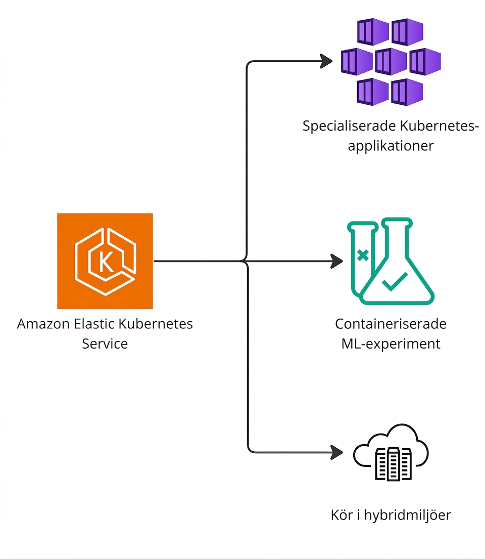 Ett förgrenat diagram som lyfter fram Elastic Kubernetes Services stöd för Kubernetes, maskininlärning och hybridmiljöer.