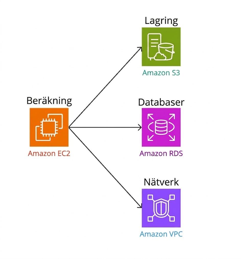 Ett förgrenat diagram som visar beräkningsanslutningar till lagring, databaser och nätverk.