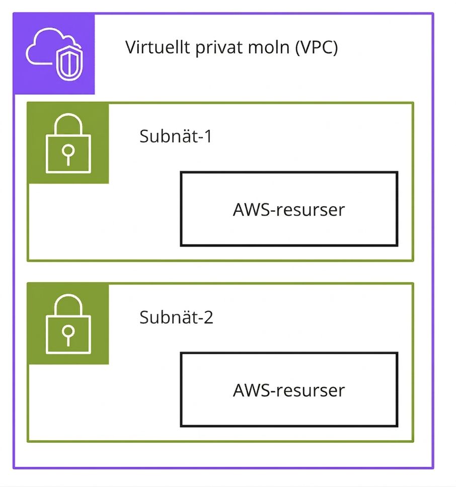 Ett arkitekturdiagram som förklarar subnät inom Virtual Private Cloud.