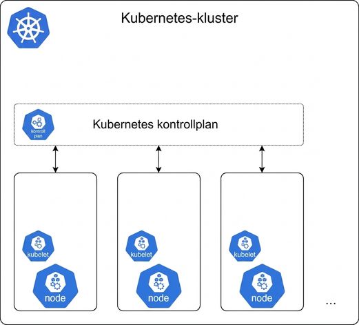 Kubernetes Nodes