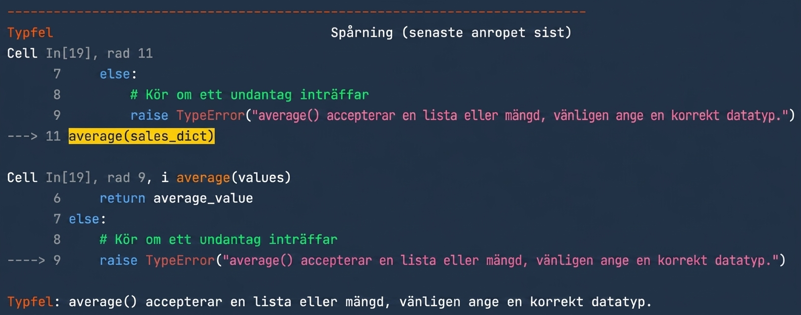 TypeError-utdata med det anpassade meddelandet om att ange rätt datatyp