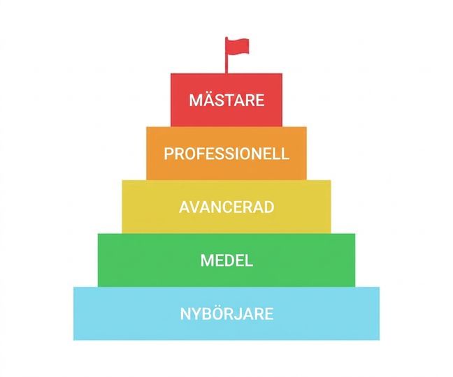 Bild av en pyramid med olika färgade nivåer från nybörjare till mästare