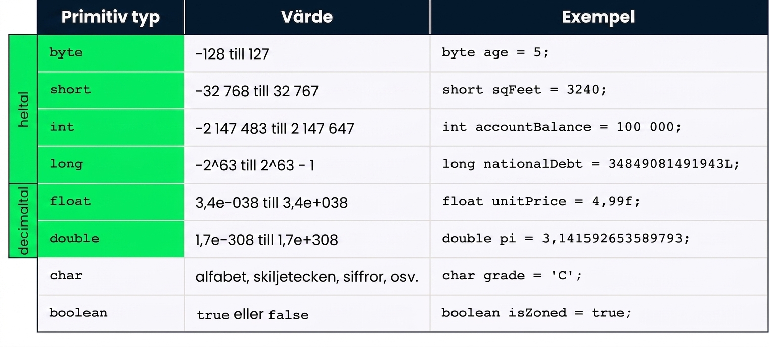 byte, short, int, long, float och double markerade som fokus för det här avsnittet