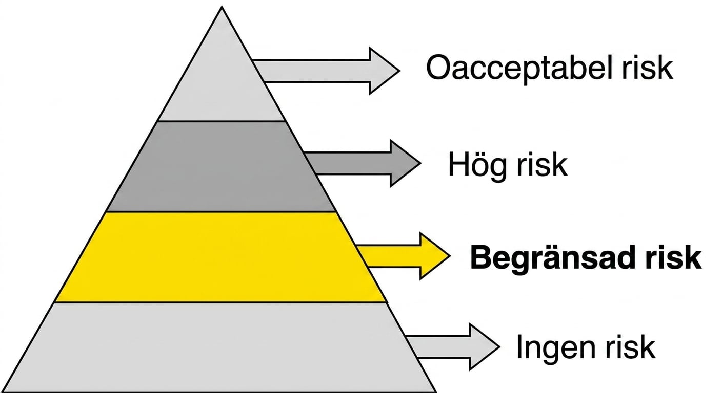 Begränsad risk markerad.png