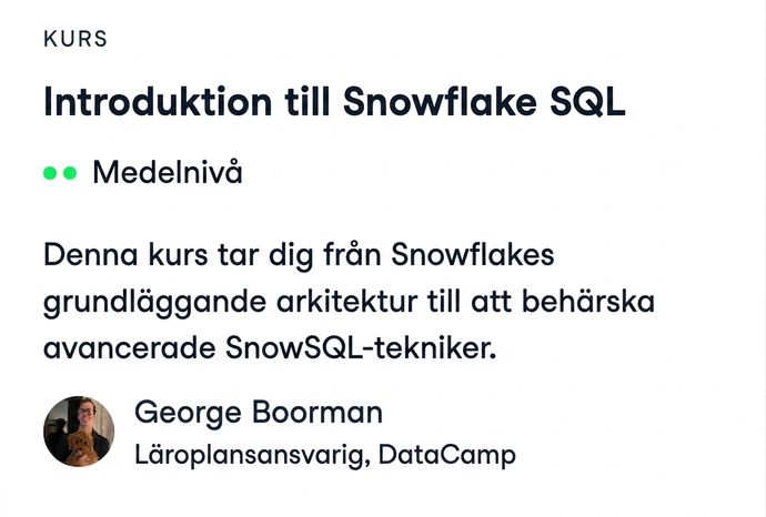 Skärmbild av DataCamps kurs Introduction to Snowflake SQL