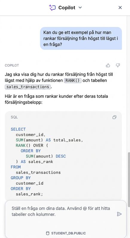 Bild på CoPilot-utdata
