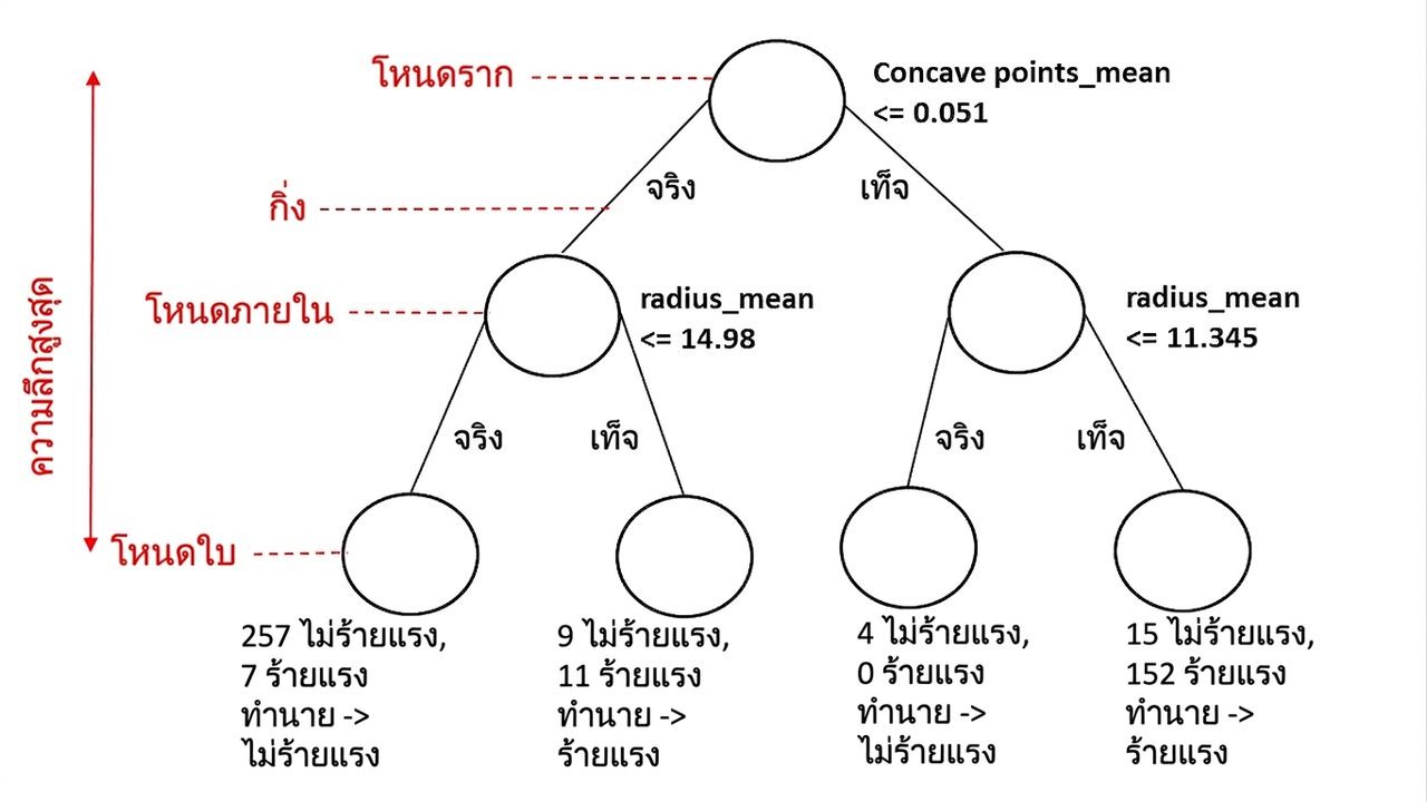 DT ที่มีป้ายกำกับ