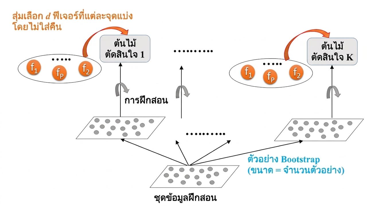 การเทรน RF