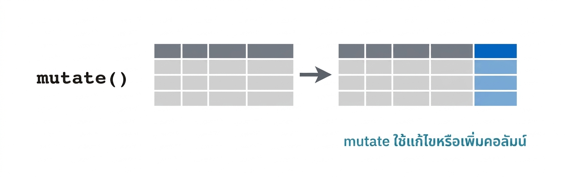 mutate_verb2.png