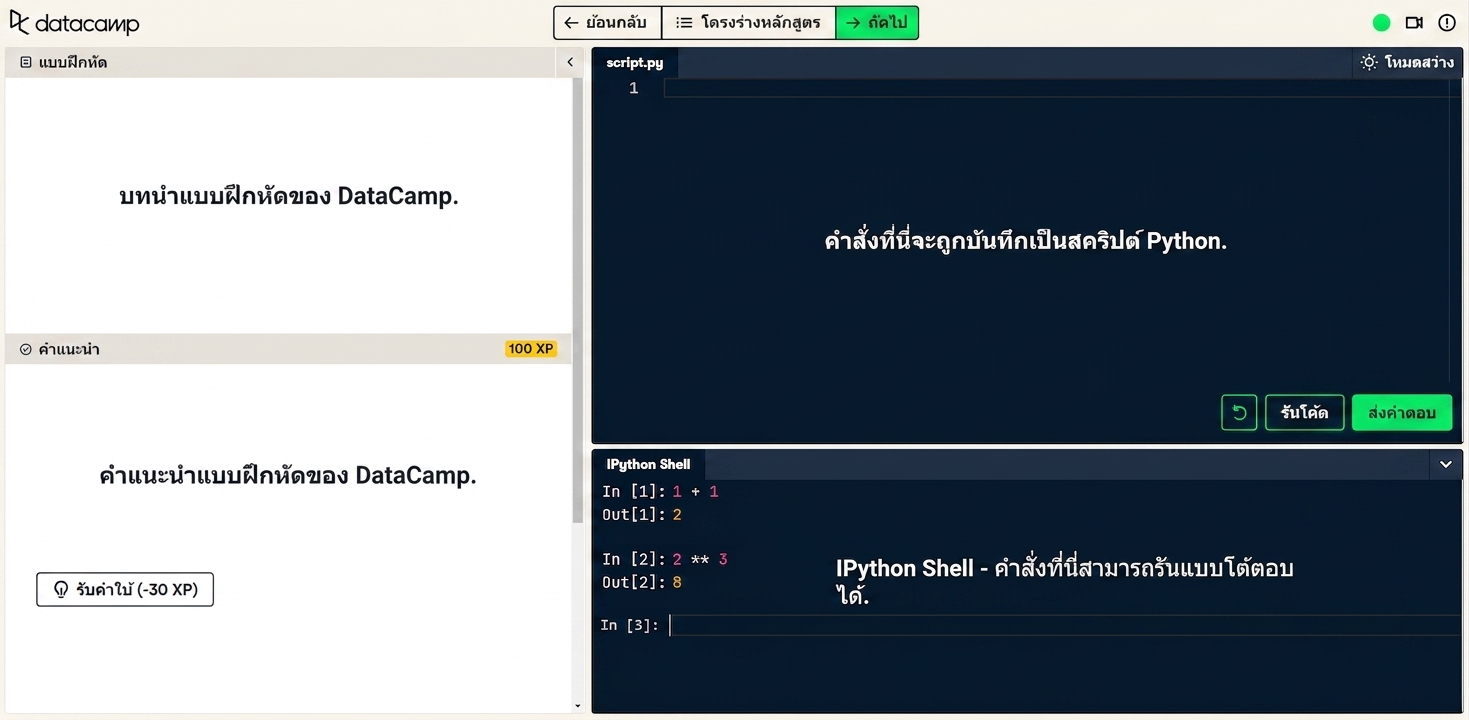 Datacamp Screenshot