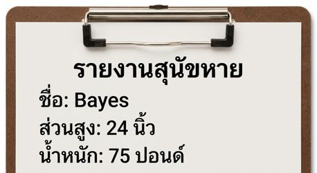 รายงานสุนัขหาย