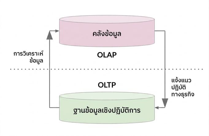 OLAP และ OLTP
