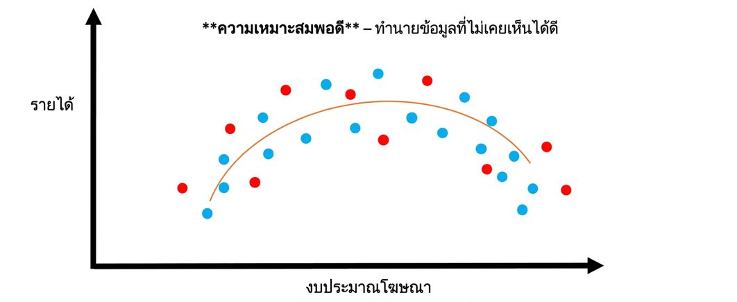 rightfit2